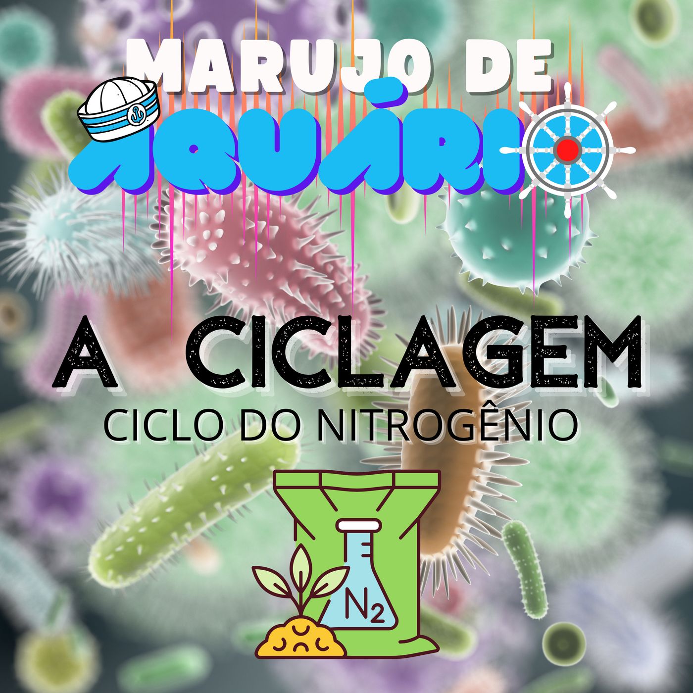 Marujo de Aquário