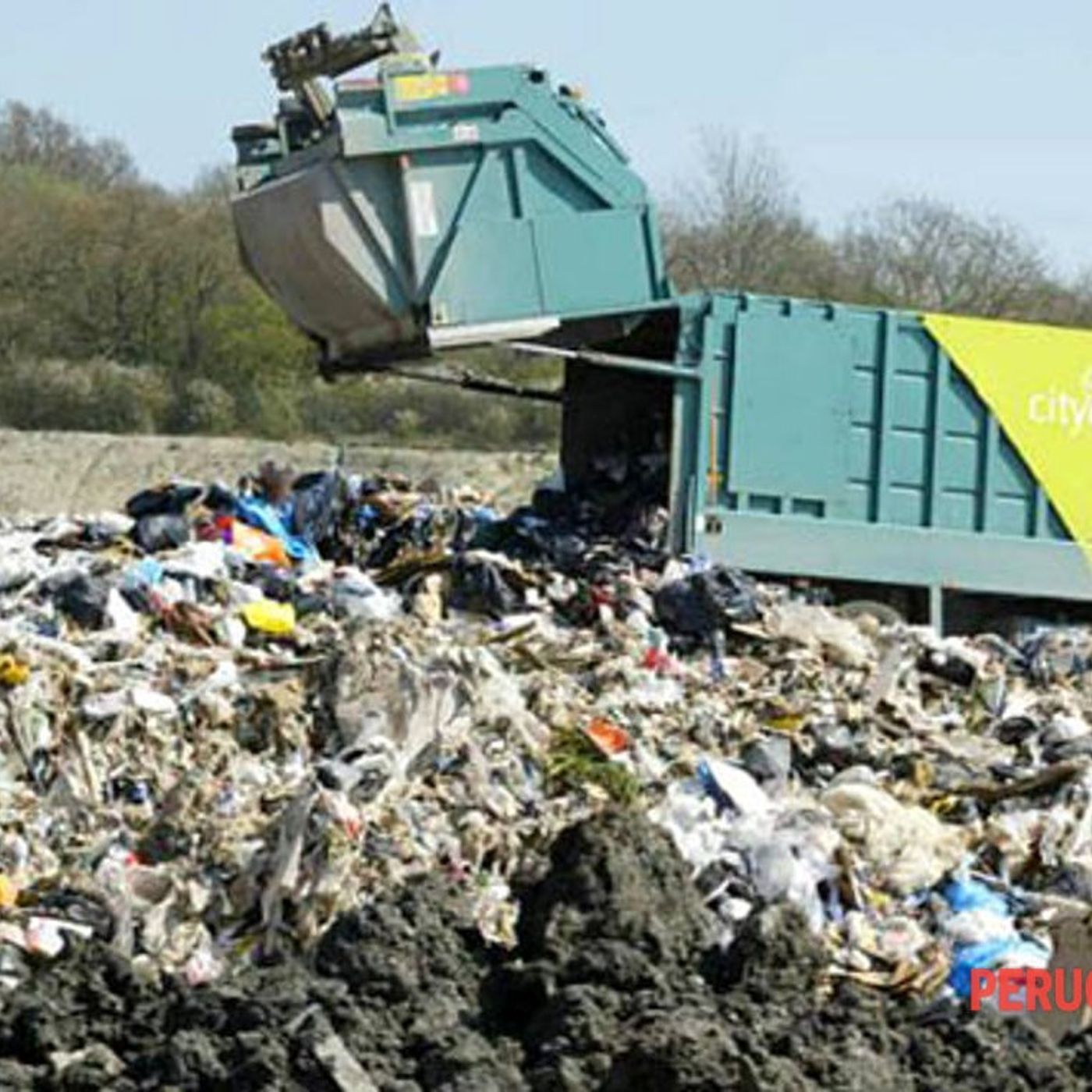 Lo show di IRENE SILVESTRI