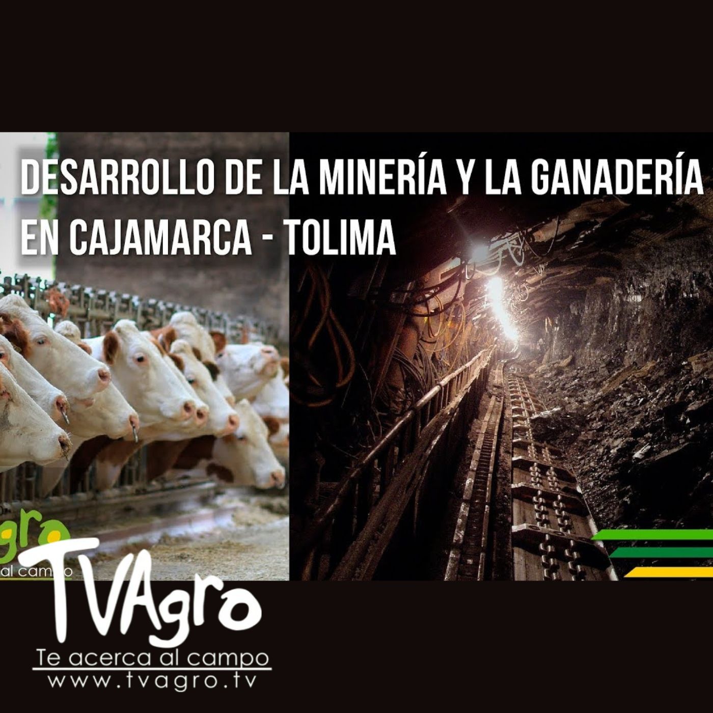 TV AGRO
