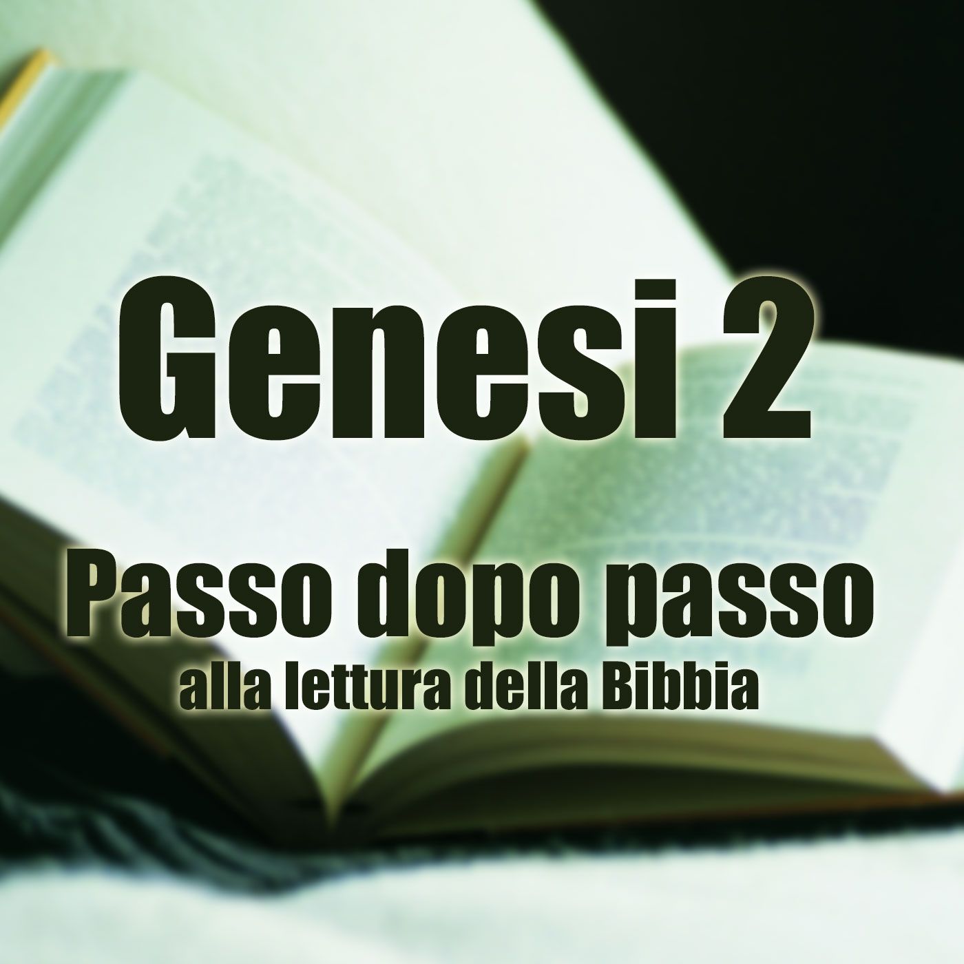Passo dopo passo alla lettura della Bibbia