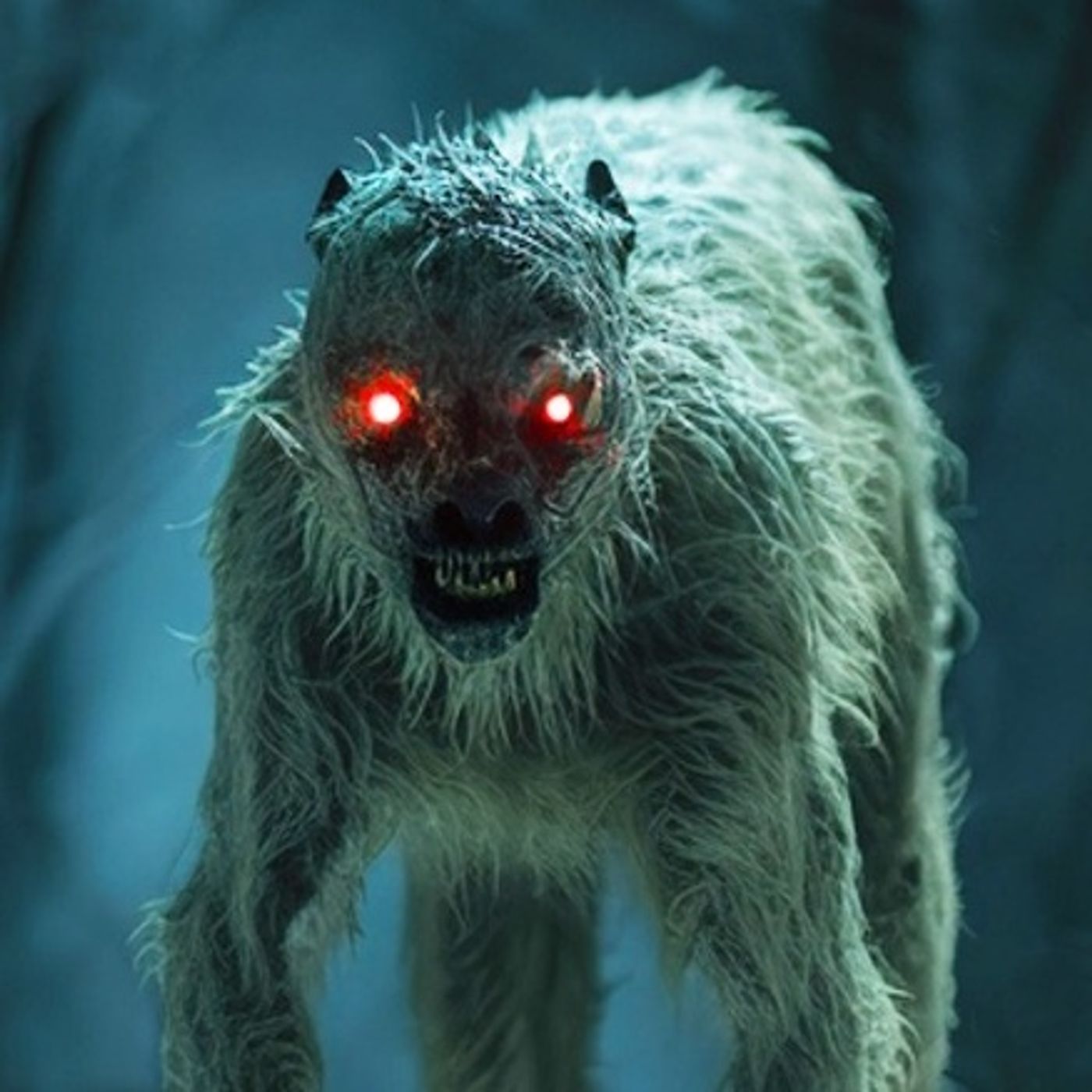 La Batalla De Dos Nahuales Que Aterrorizó Al Ejército Historias De Terror - REDE