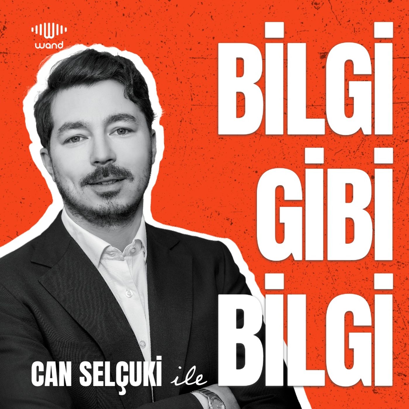 Bilgi gibi Bilgi