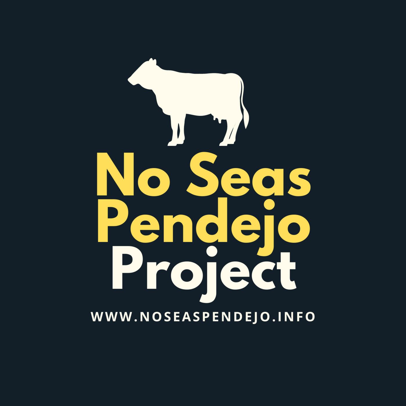 No Seas Pendejo Project