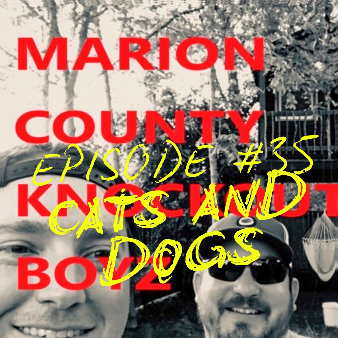 Episode #35 - Cats and Dogs episode artwork