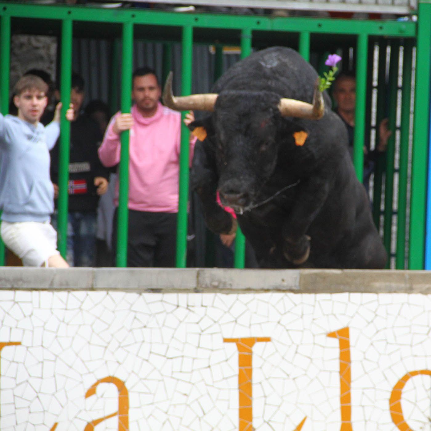 Hablemos de Toros