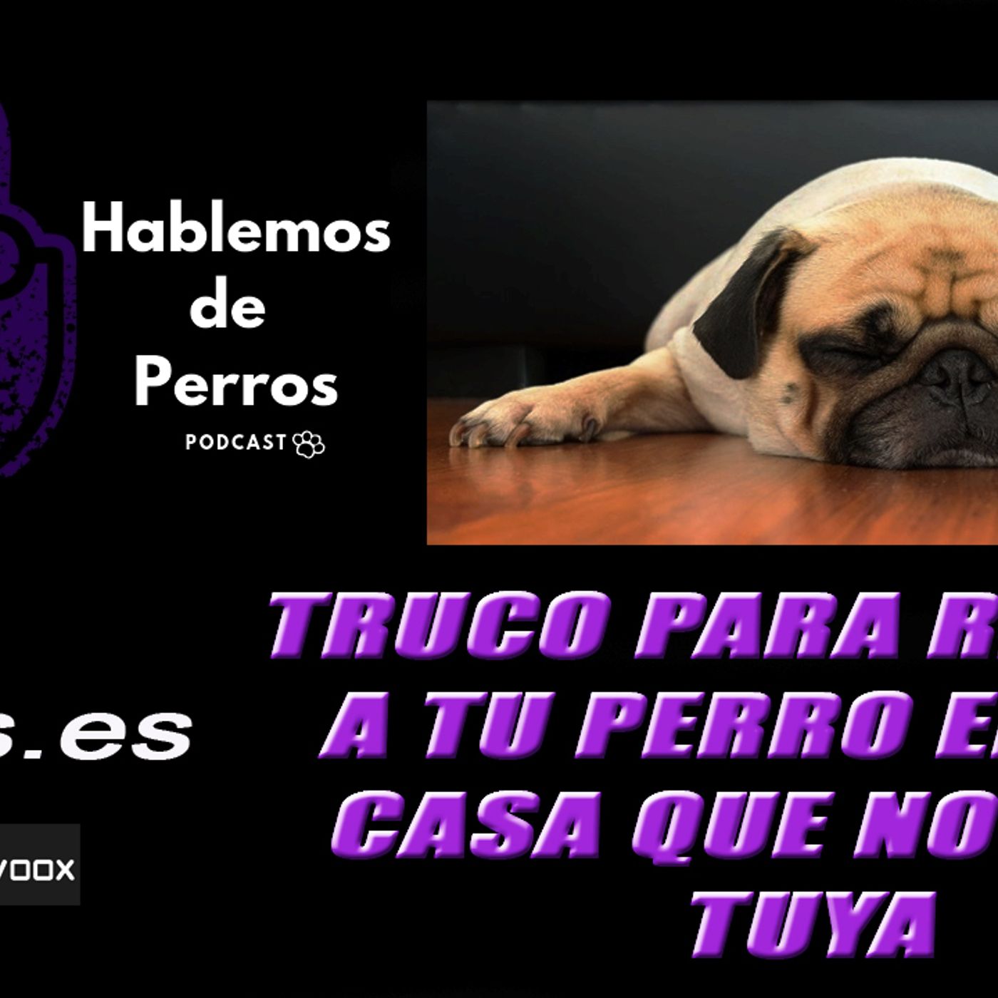 Hablemos de perros