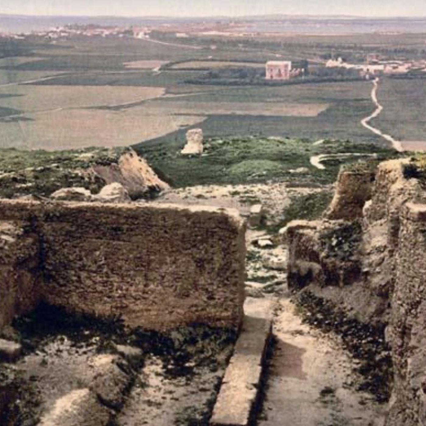 S8 Ep1067: The Rise of a New Man and the Trial of Roscius. Guest Author: Josiah Osgood. Marcus Tullius Cicero was born into a non-elite fami