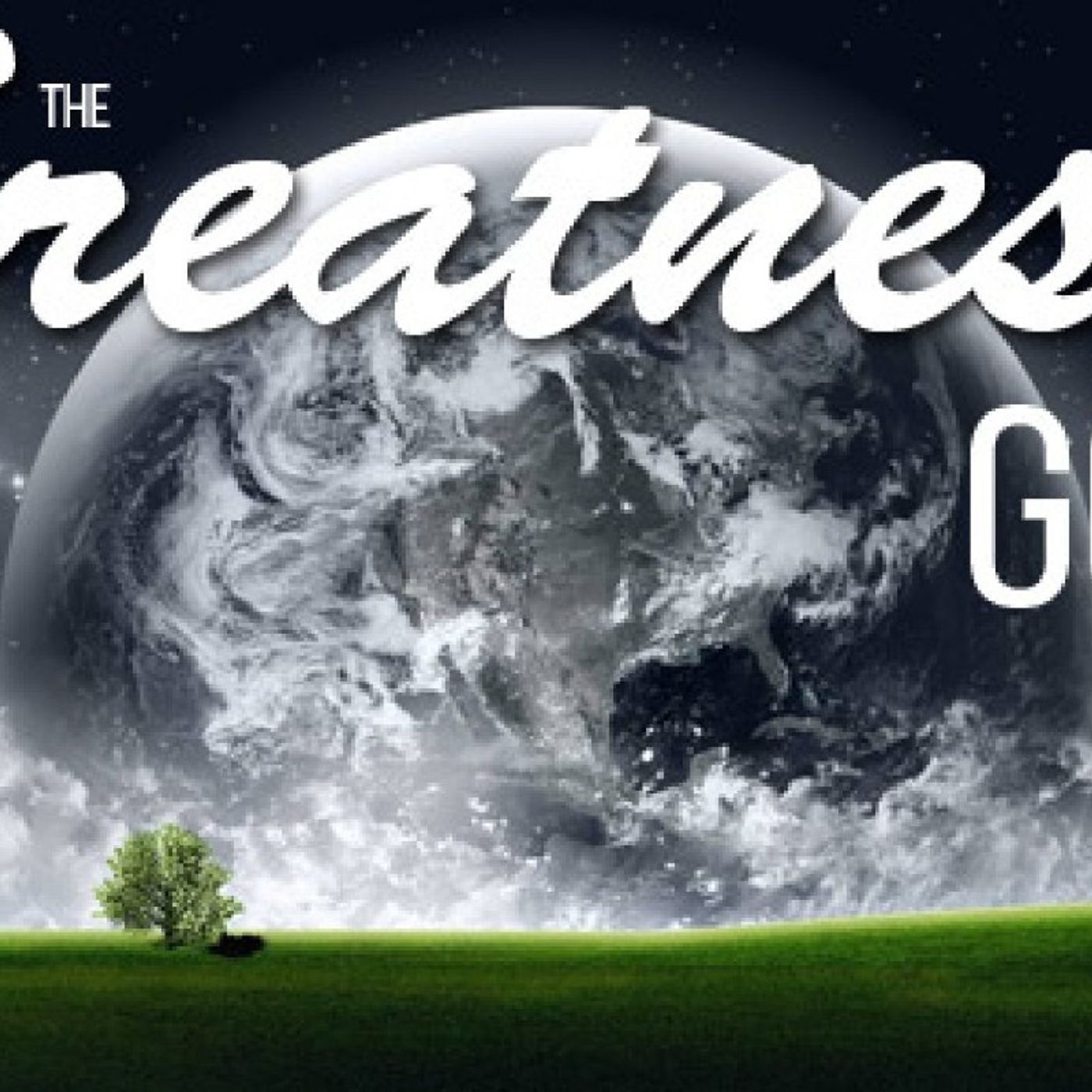 RALF FRIEDRICHS PODCAST episode artwork