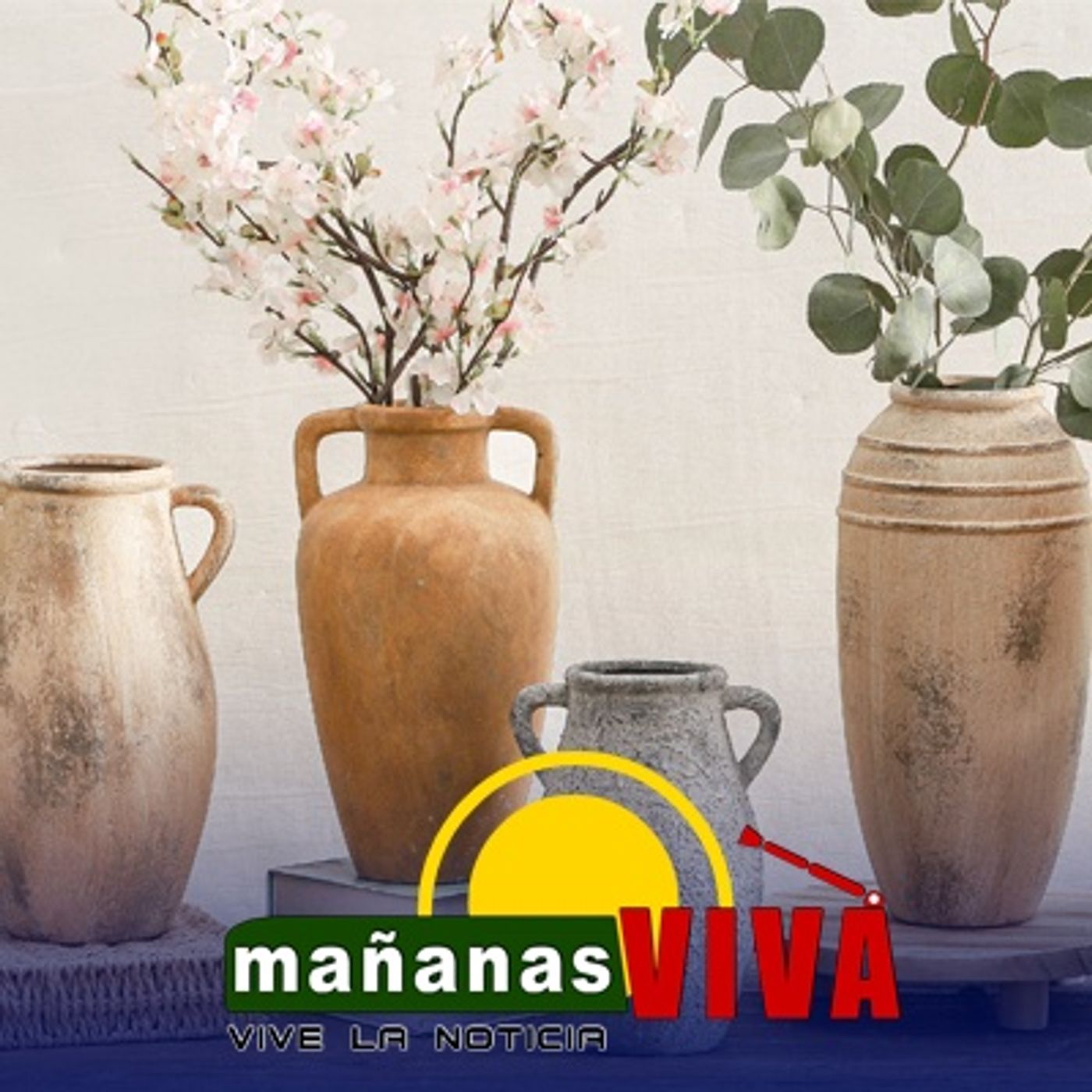 Jaime Coral Bustos – Venta de plantas naturales