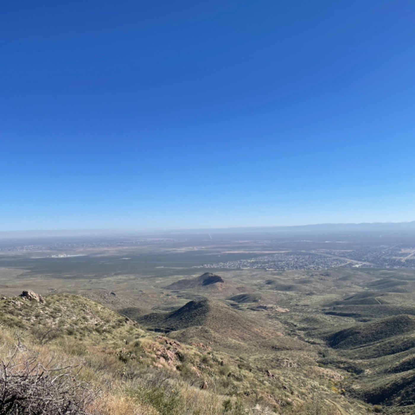 Sigue aún sin ver resultados