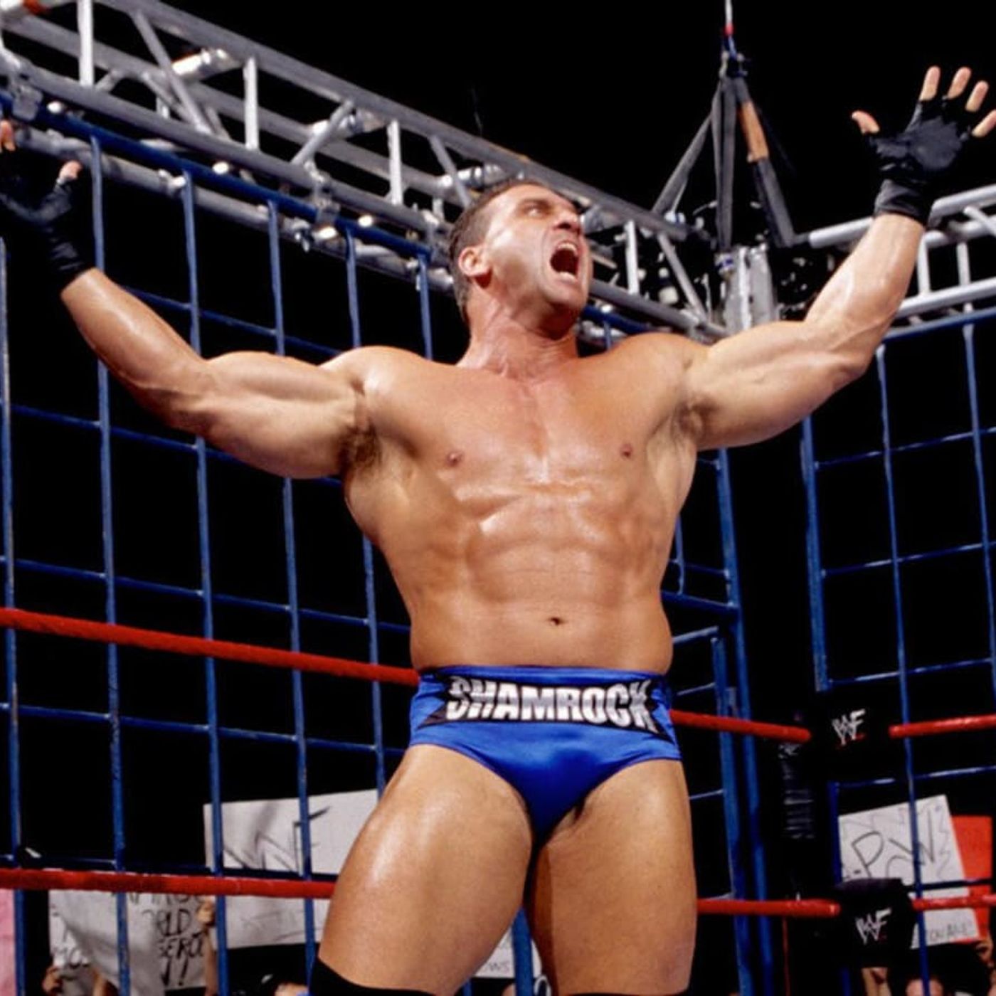 "The Lion's Den: Inside Ken Shamrock's Unrivaled Journey Through WWE's Attitude Era"