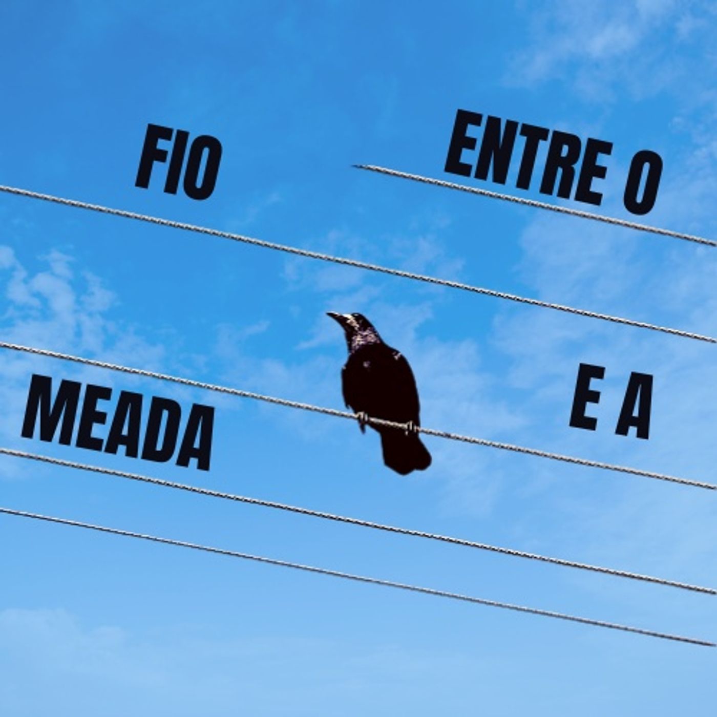 Entre o Fio e a Meada
