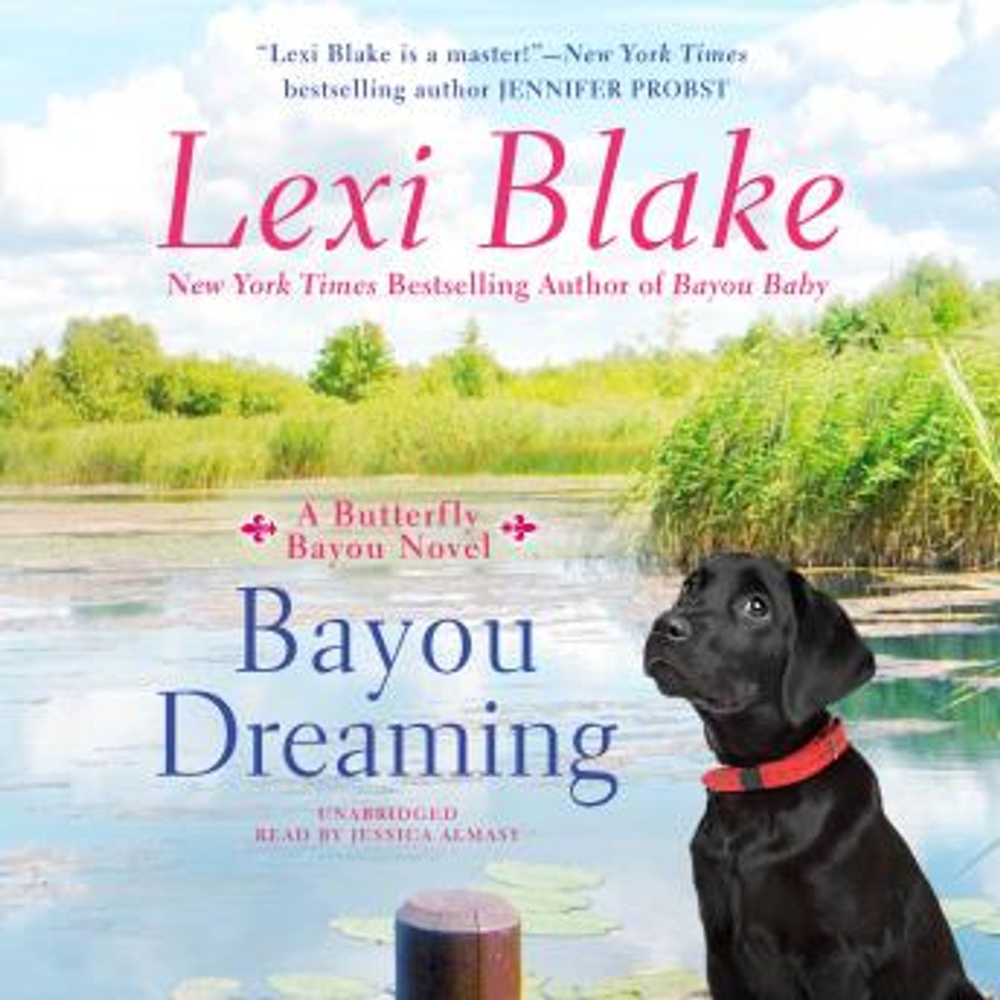 Explore the Latest Full Audiobooks in Romance, Modern