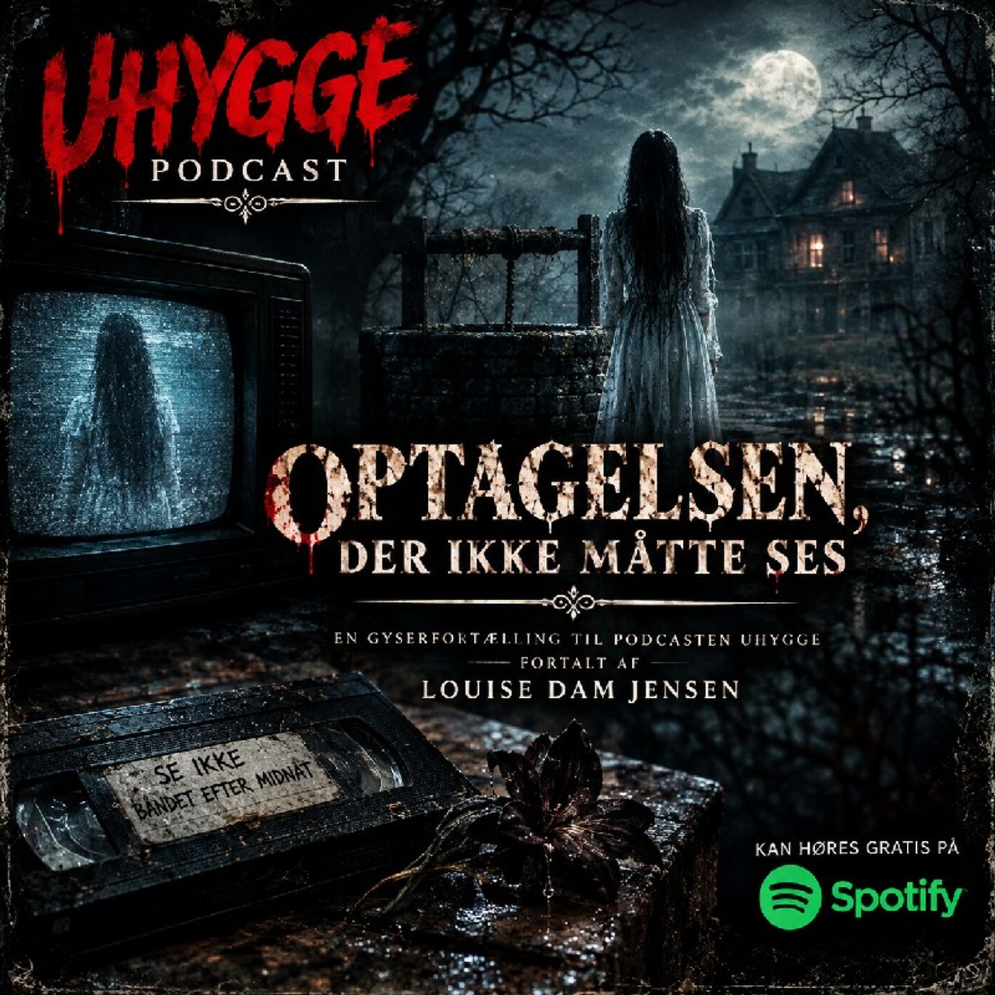 Episode 5 - Optagelsen episode artwork