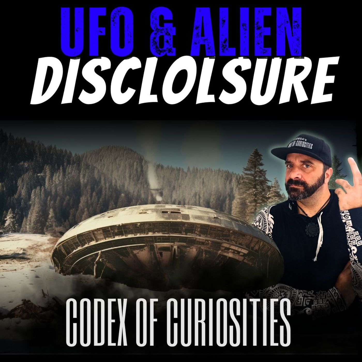 UFOs and Alien Disclosure in the USA with Karin Wilkinson episode artwork