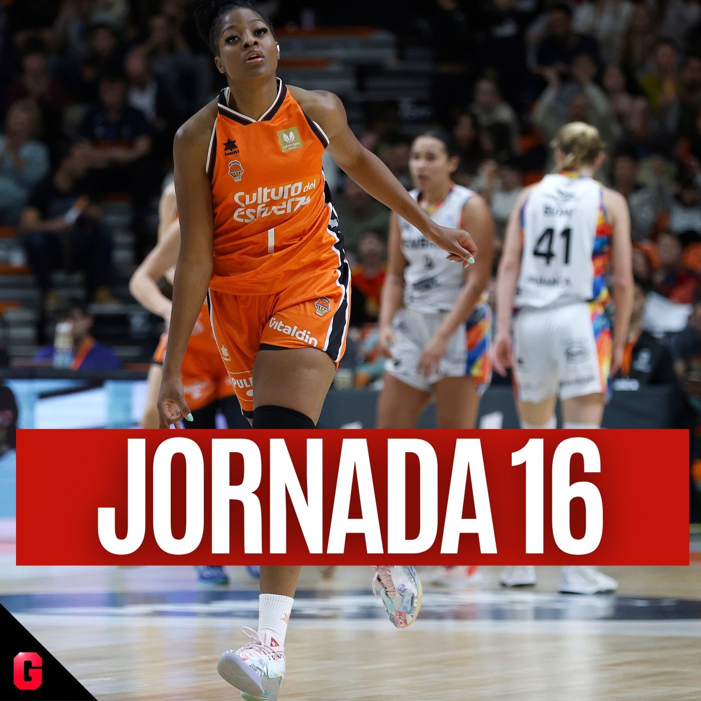 El resumen de la jornada 16 de la Liga Femenina Endesa episode artwork