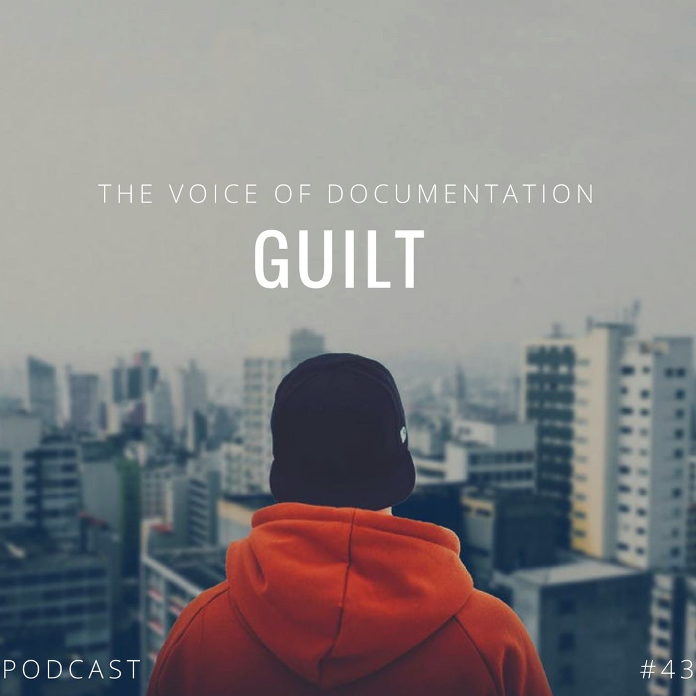 The Voice Of Documentation
