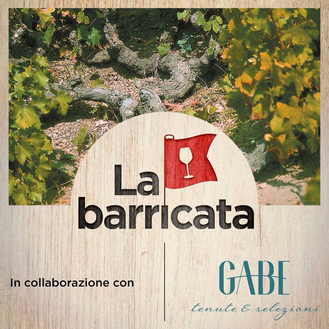 Breve corso di viticoltura (1): portinnesti e cloni con Lucio Brancadoro - La barricata, 54 episode artwork