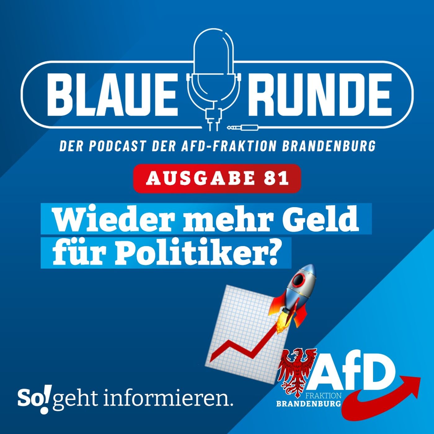 Wieder mehr Geld für Politiker? | Die BLAUE RUNDE, Ausgabe 81/23 vom 02. Oktober 2023 episode artwork
