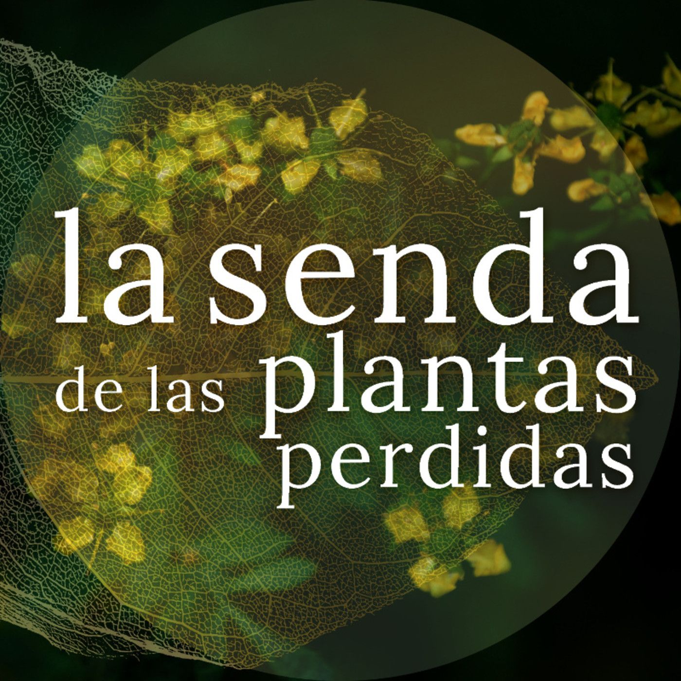 La Senda de las Plantas Perdidas