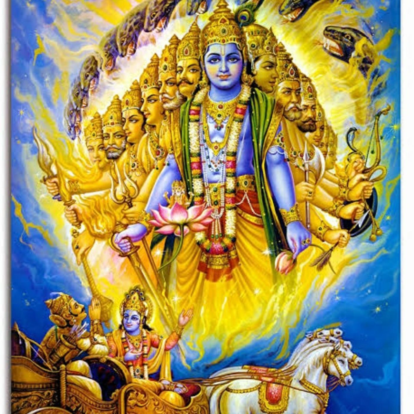 ವಿದ್ಯಾ ನಾಗ್ ದಿನನಿತ್ಯ ಕಲಿಕೆ