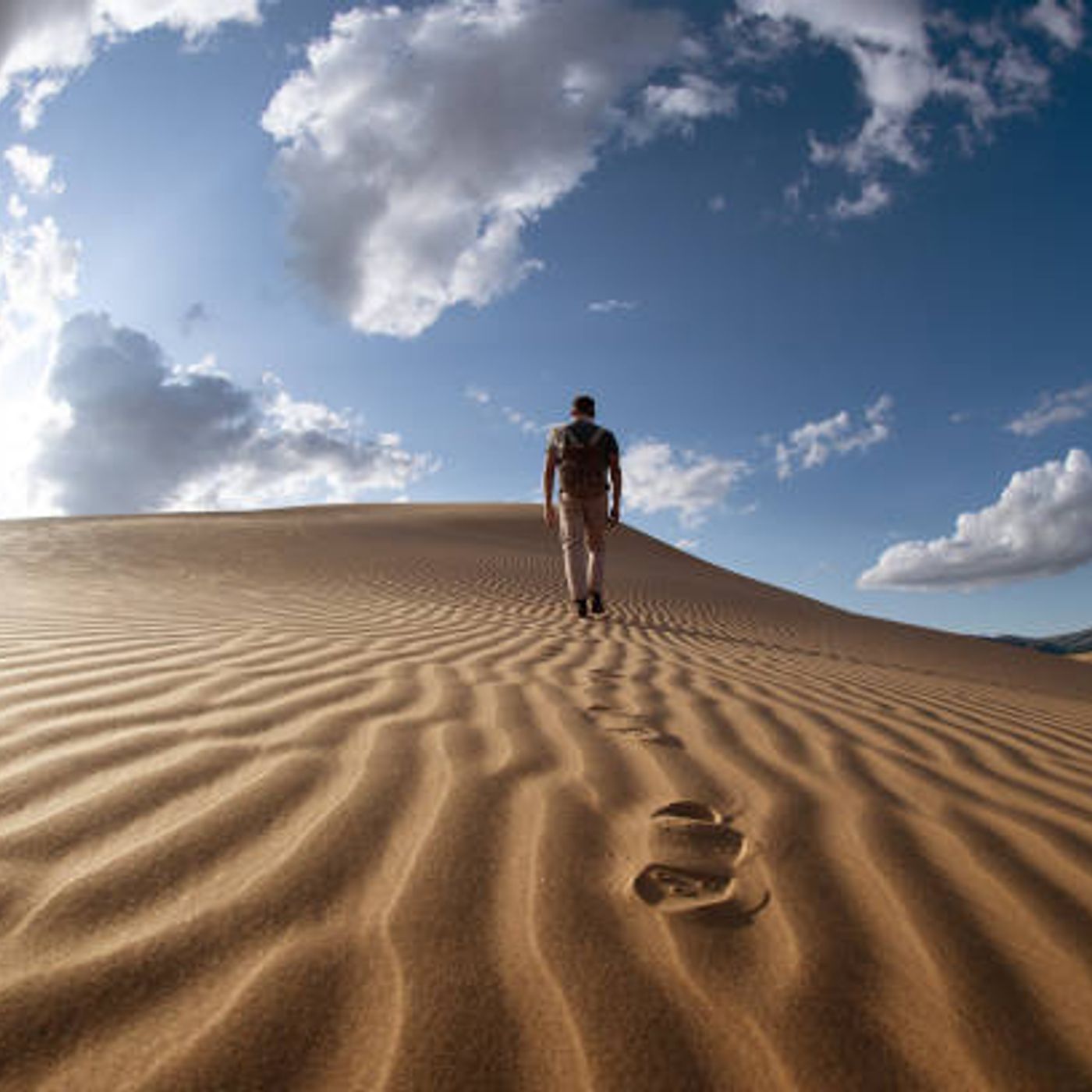 ATTRAVERSO IL DESERTO QUARESIMA 2024