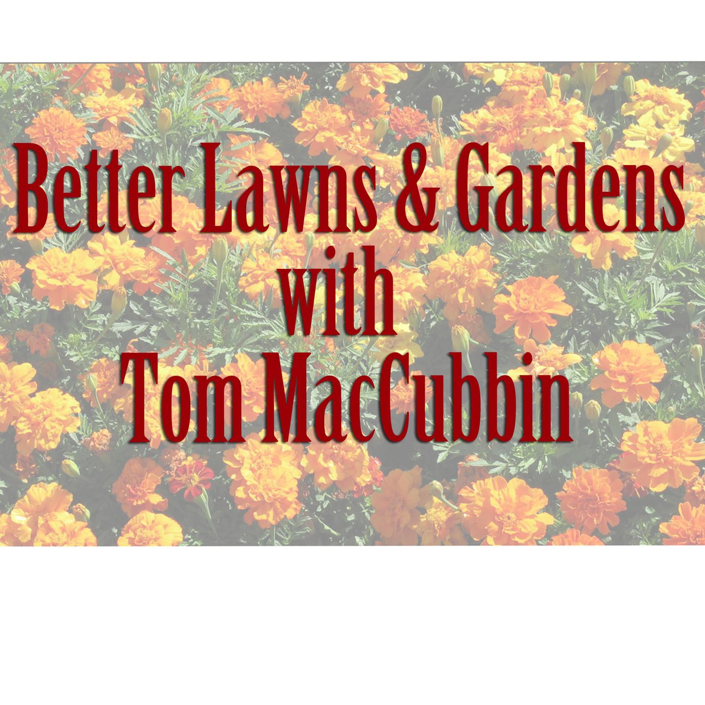Better Lawns & Gardens 08-19-2023 Hour 1