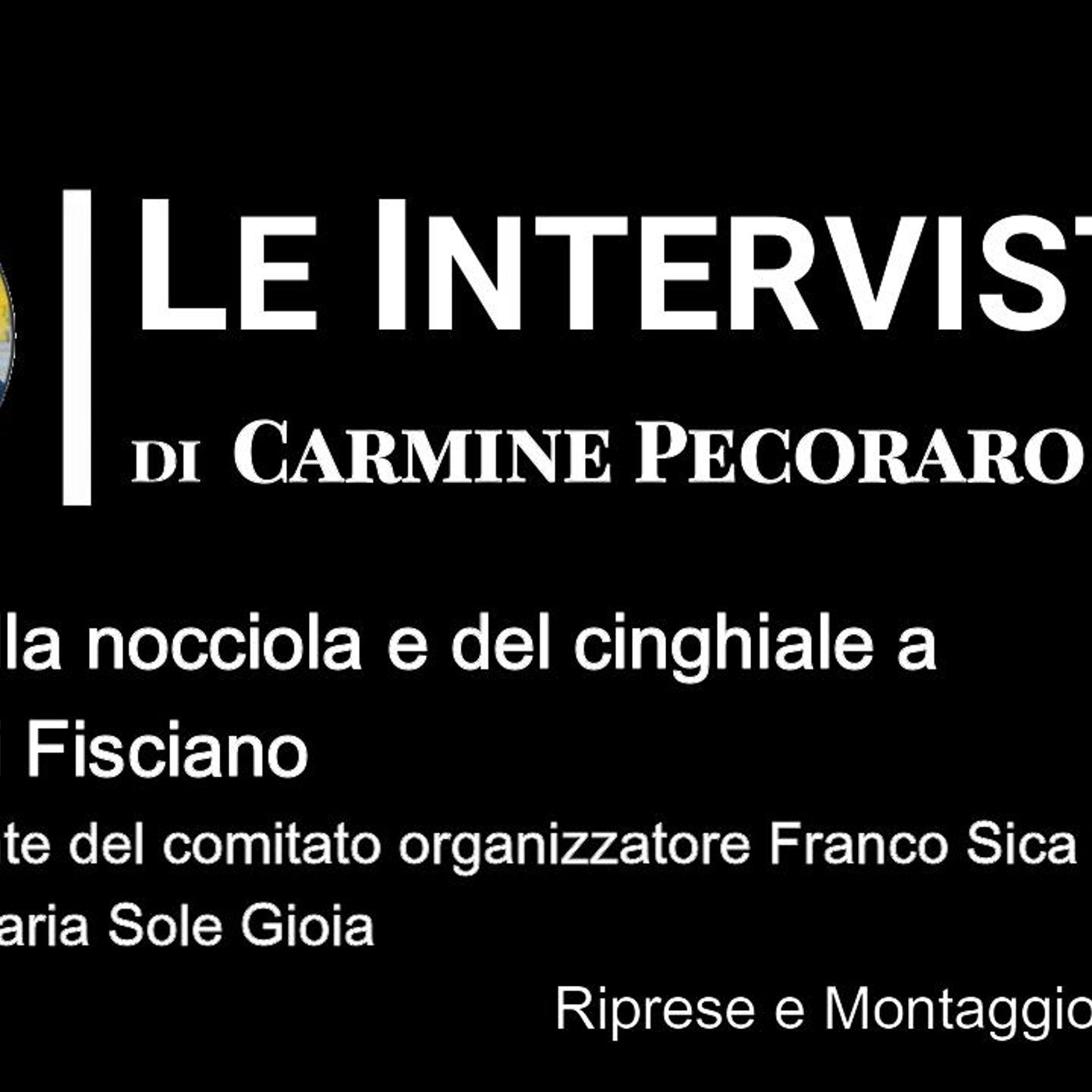 “LeINTERVISTE” di LaVoce24TV - “Sagra della nocciola e del cinghiale a Gaiano di Fisciano” - episode artwork