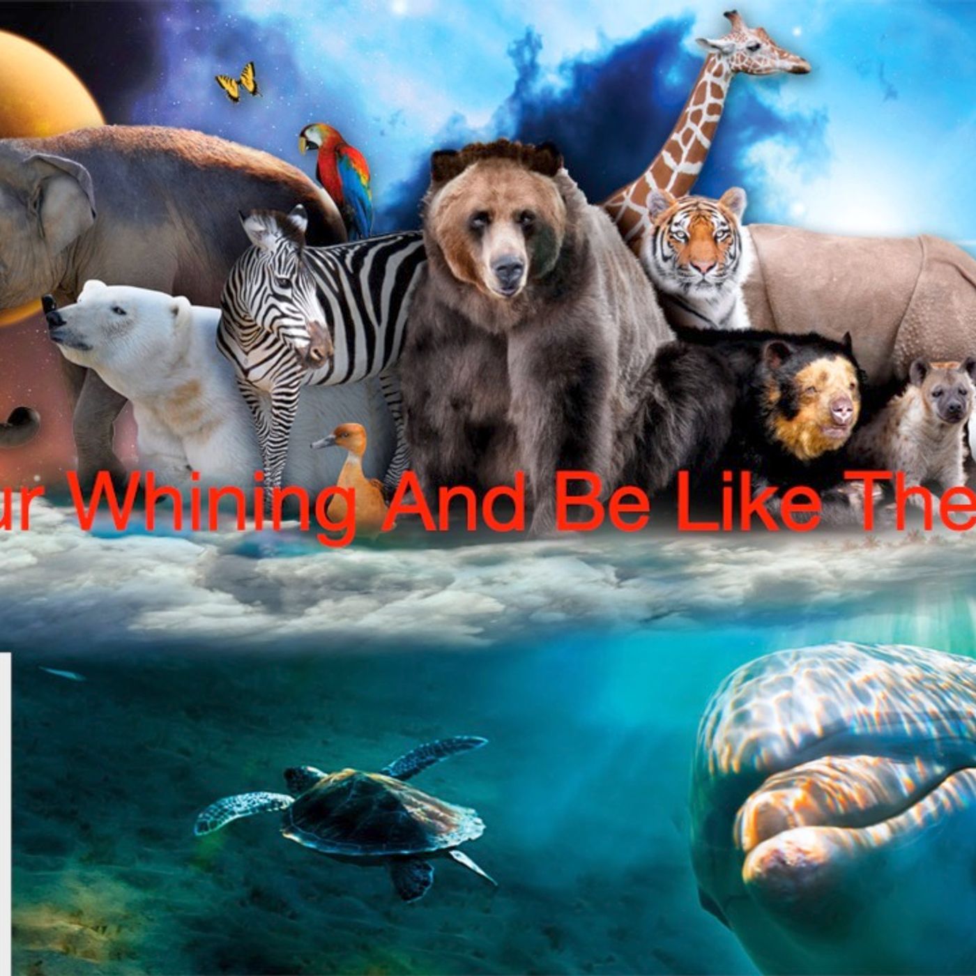 Stop Whining About What You Don’t Have Before The LORD Takes That episode artwork