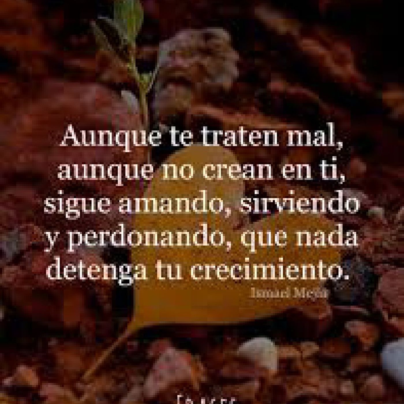 La Reflexión del Día "Amando, sirviendo y perdonando" episode artwork