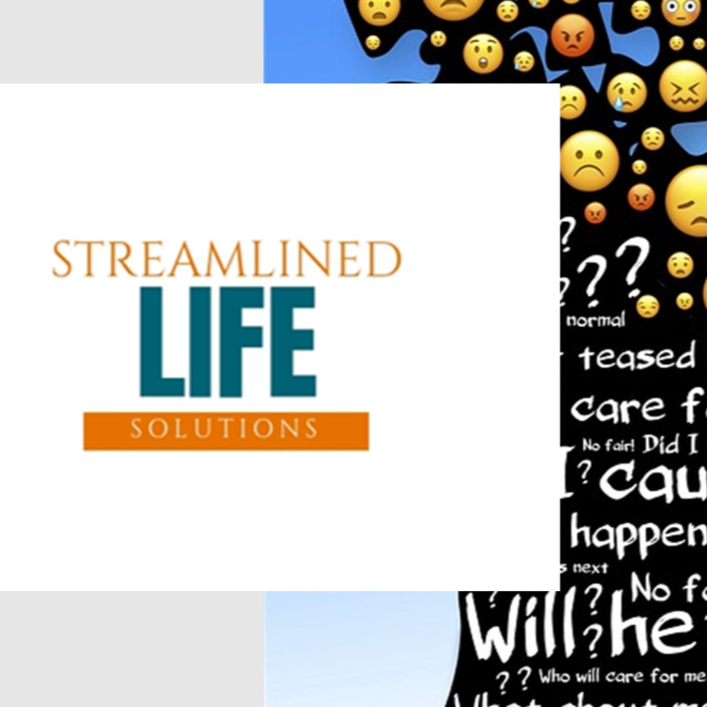Streamlined Life Solutions