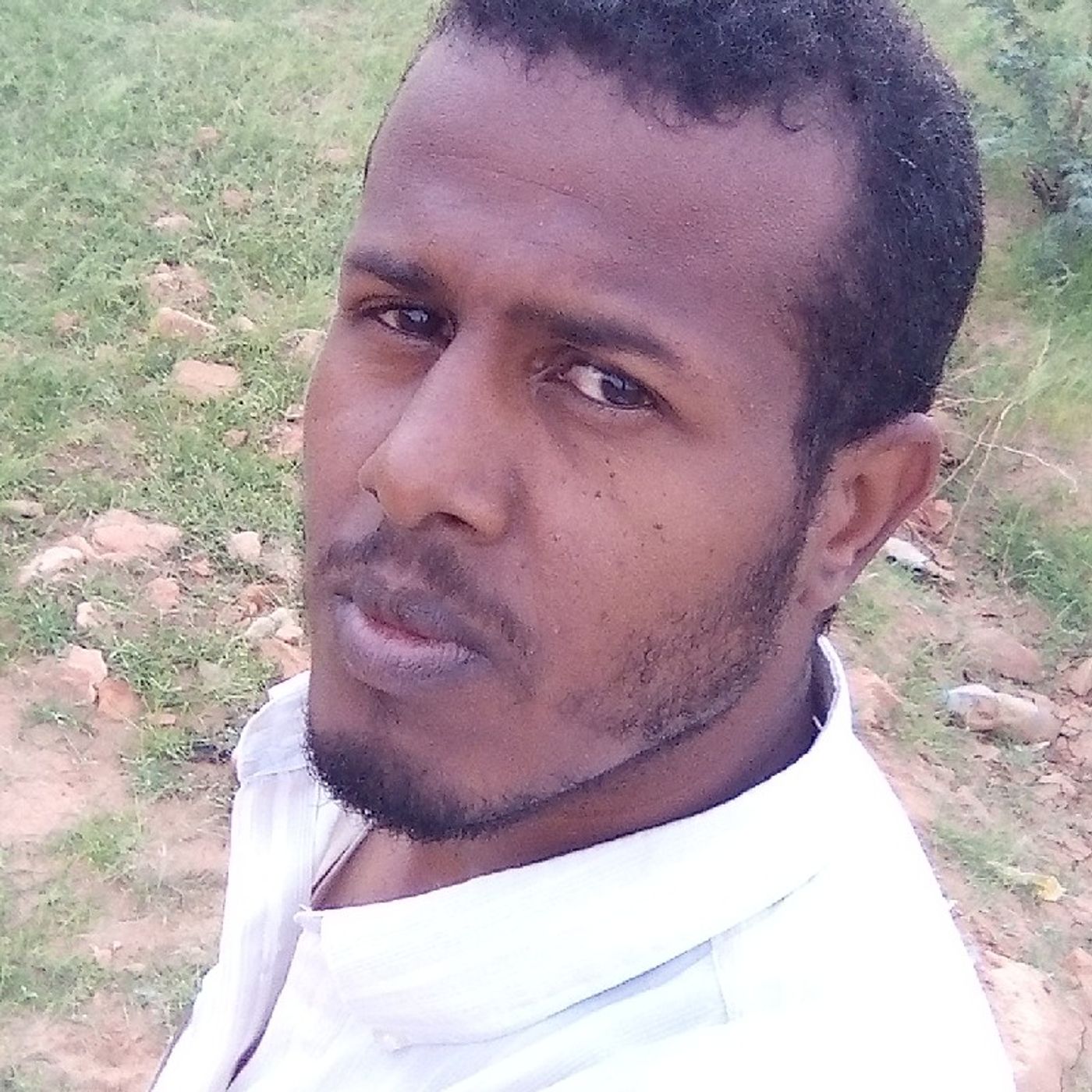 Mohammed Babiker musa