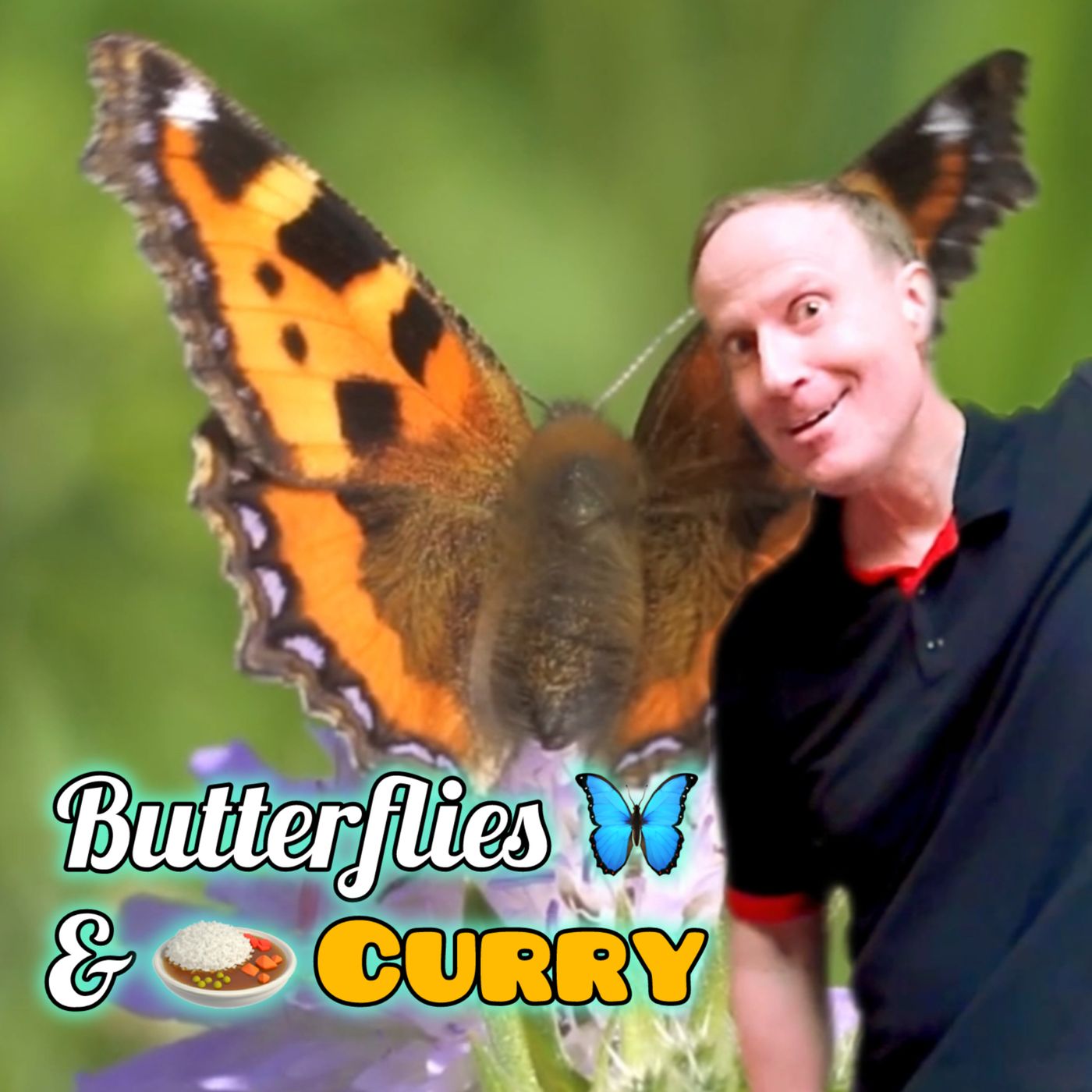 HOLDEN HAROLDSEN PRESENTS...