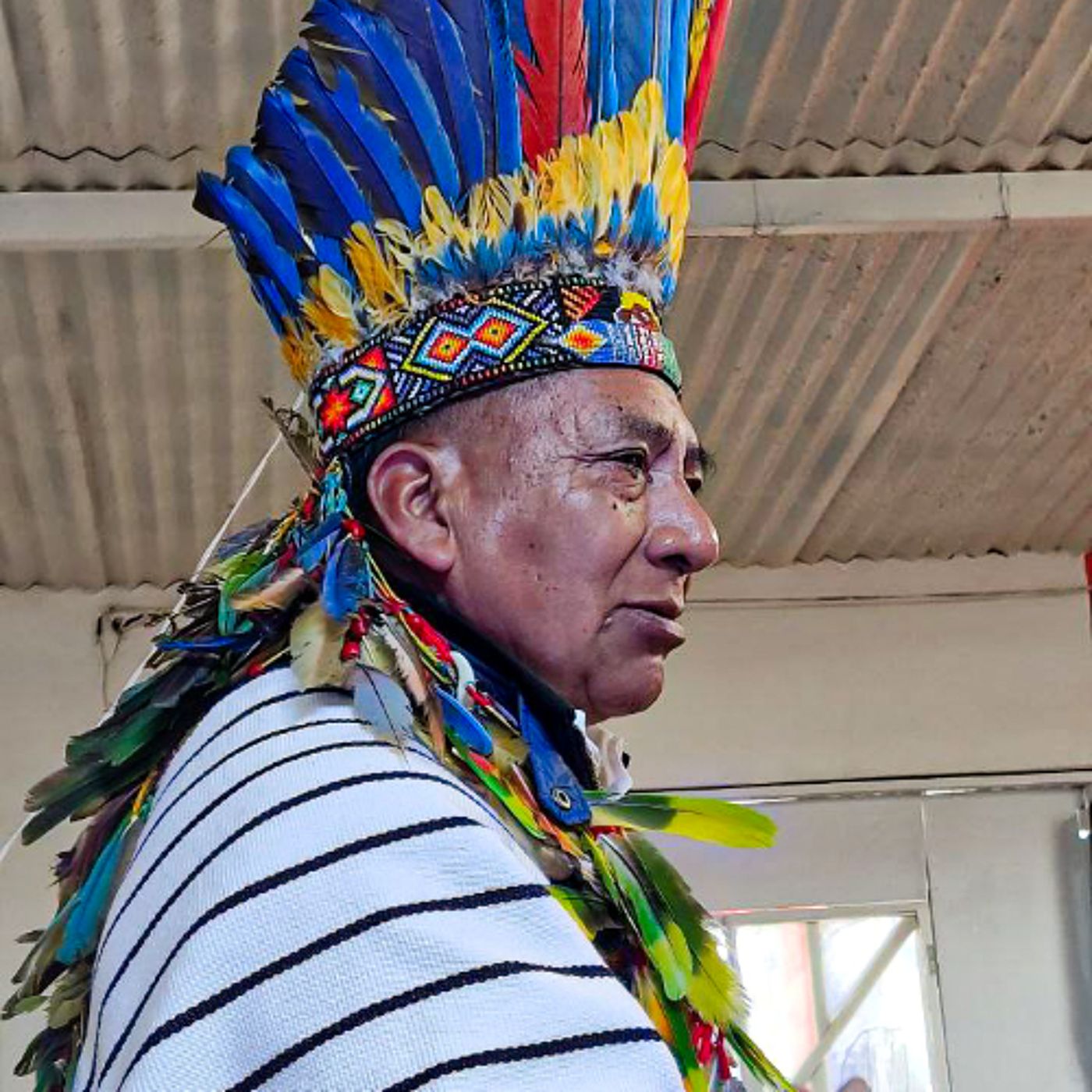 Cantando y sanando ando, cápsula 2: El Tarra, tierra entre ríos