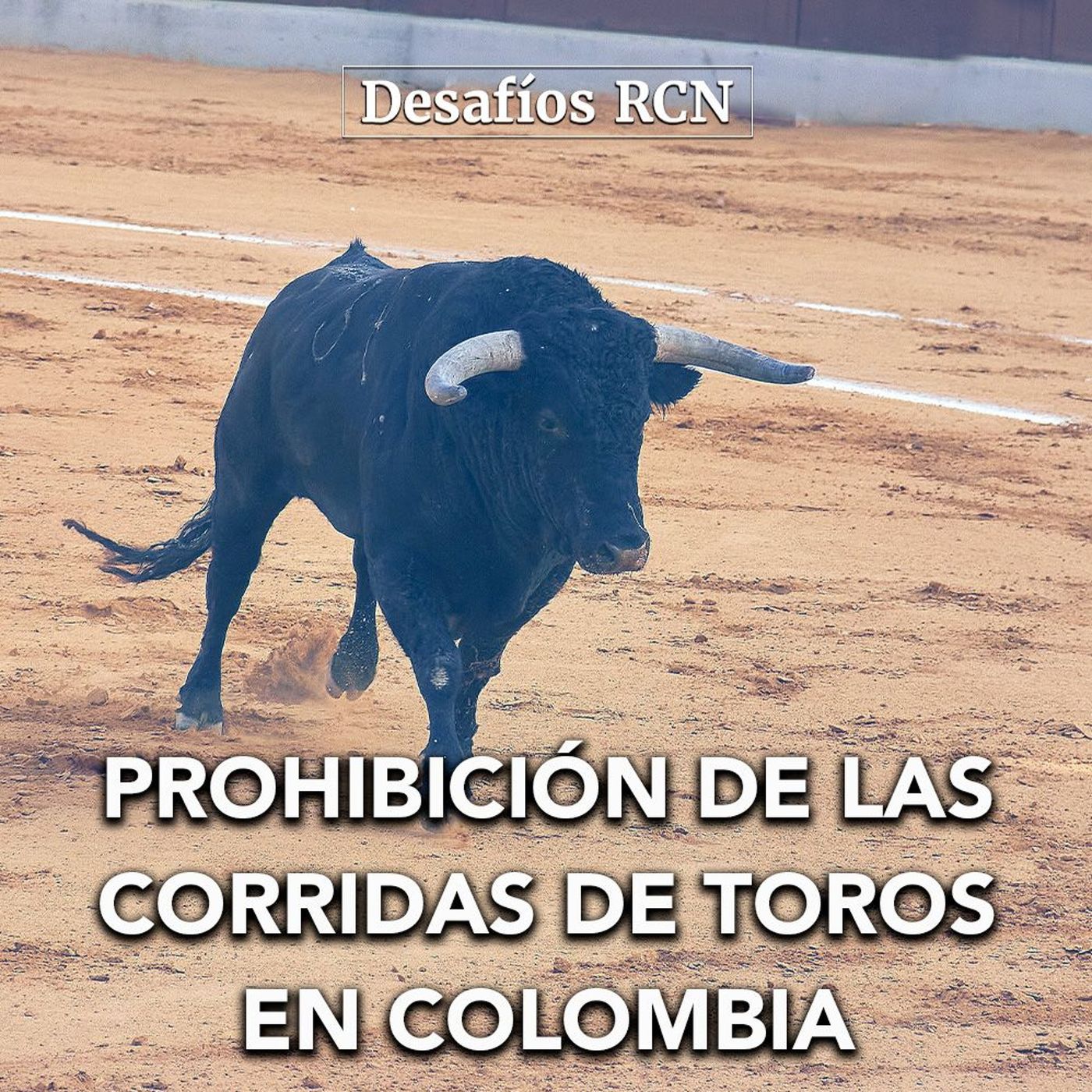 Prohibición de las corridas de toros en Colombia, un cambio histórico | Desafíos RCN-Javeriana episode artwork