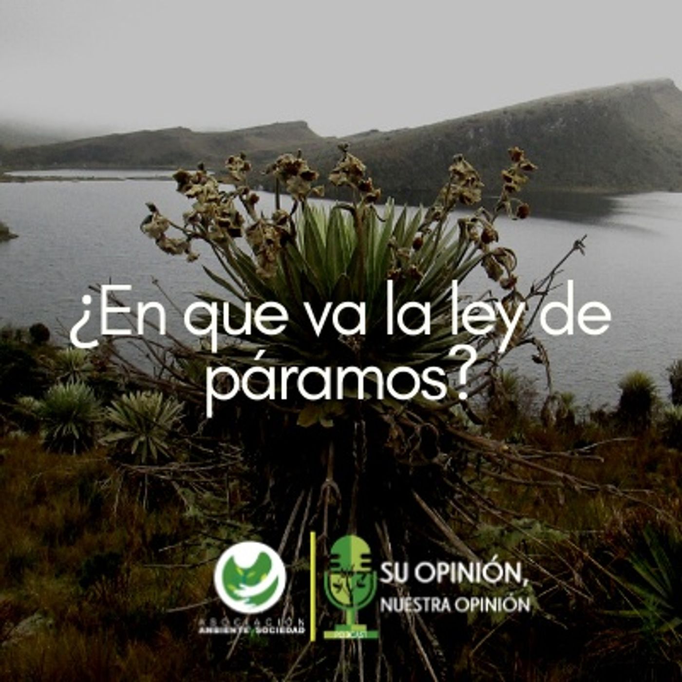Ambiente y Sociedad