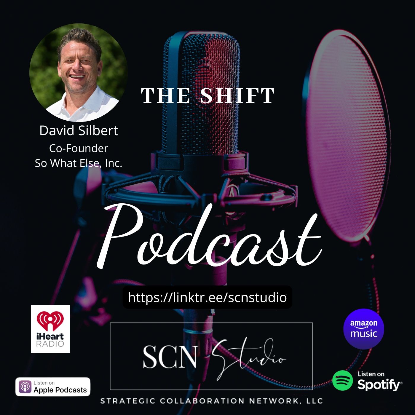 'the Shift' featuring David Silbert, Co-Founder of So What Else, Inc. | Host: Catherine E Trotter episode artwork