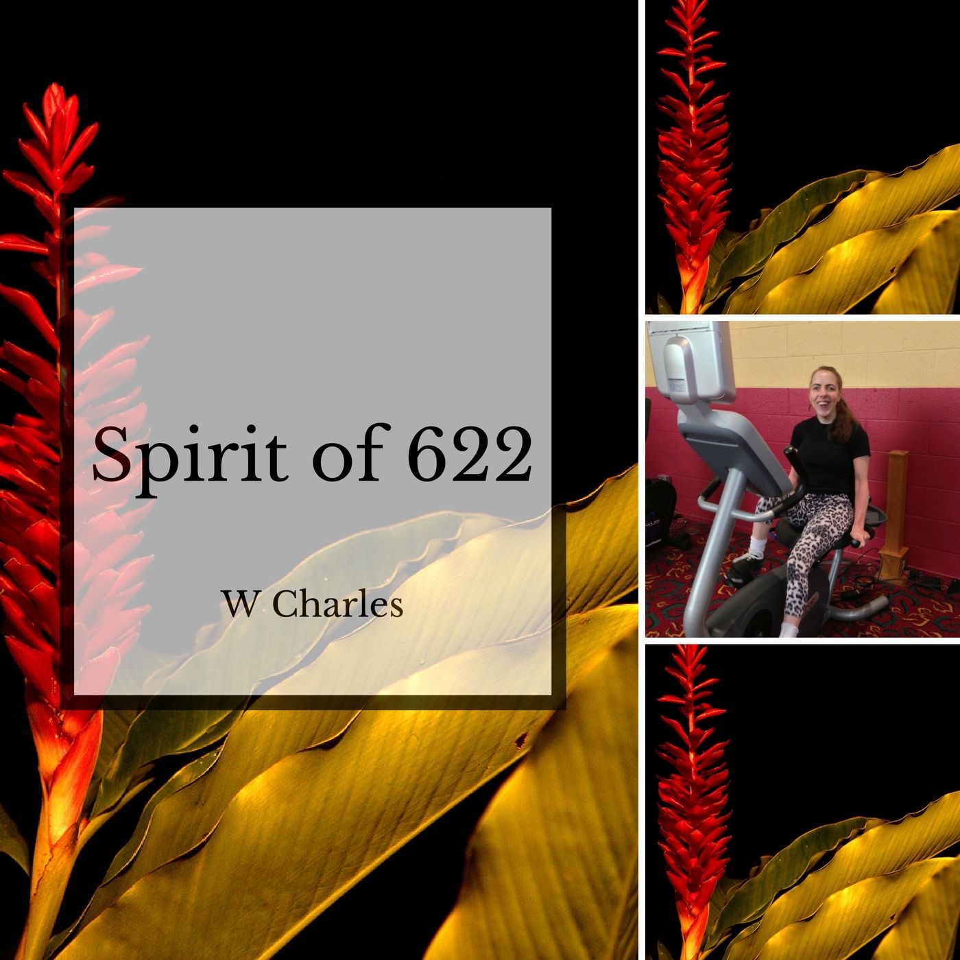Spirit of 622
