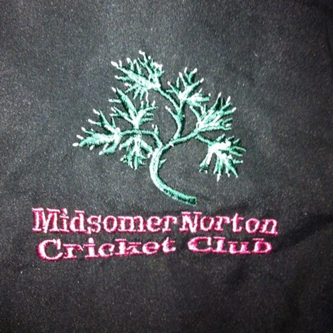 Somerset Cricket T20 MSNCC Innings episode artwork