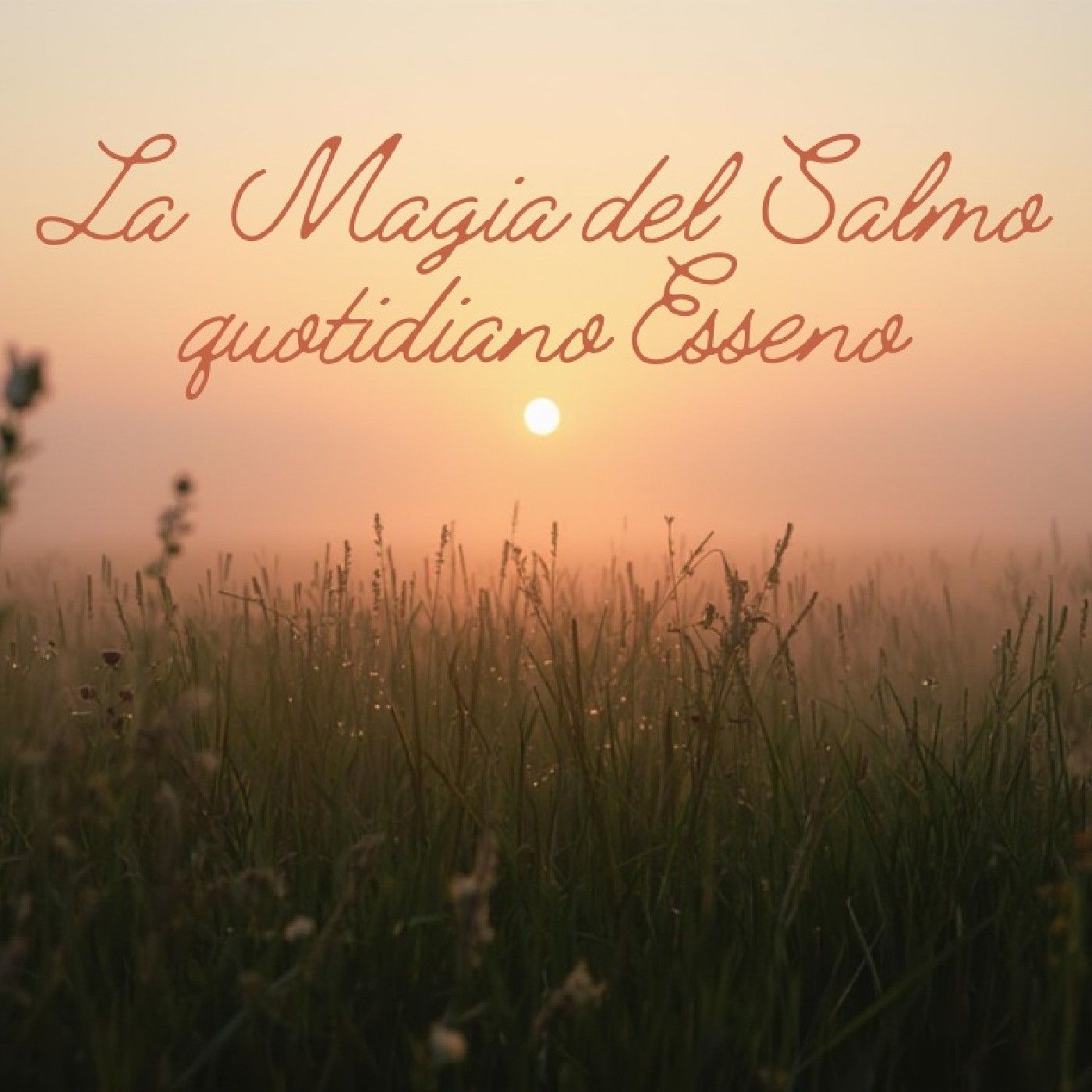 Copertina di La Magia del Salmo Quotidiano Esseno