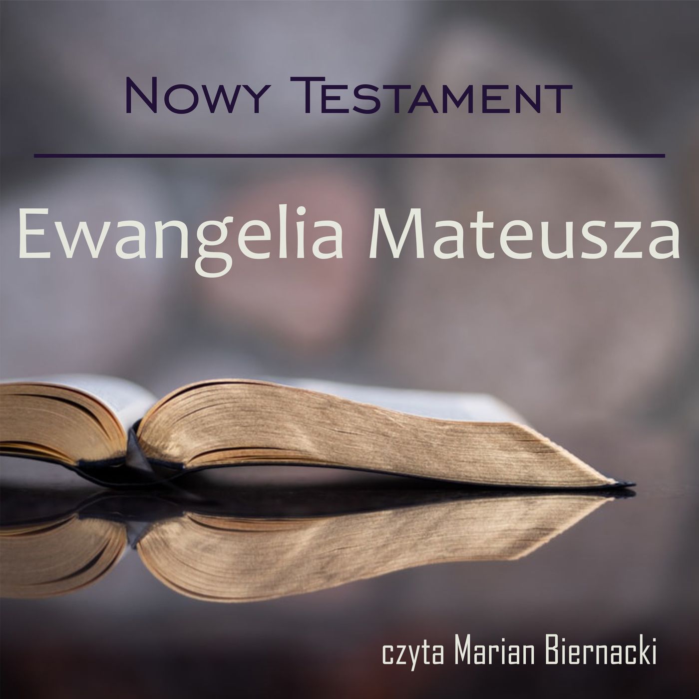 Biblia Audio Nowy Testament