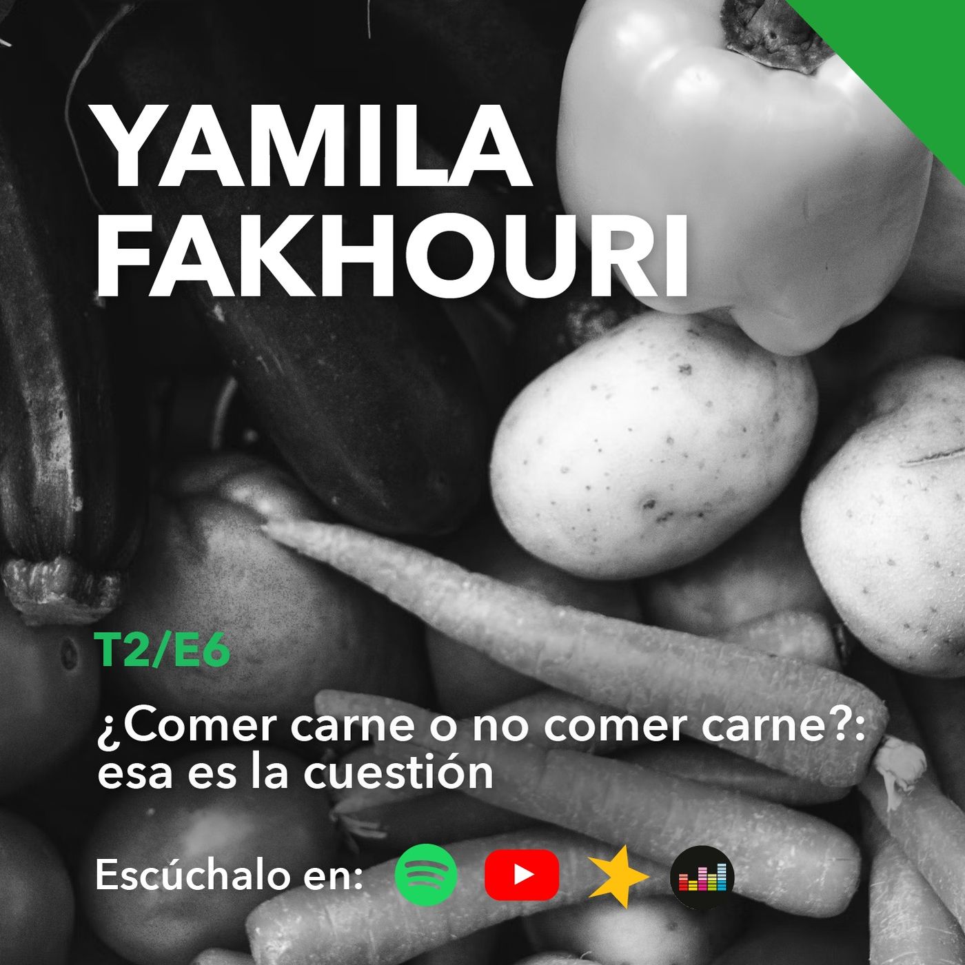 Yamila Fakhouri