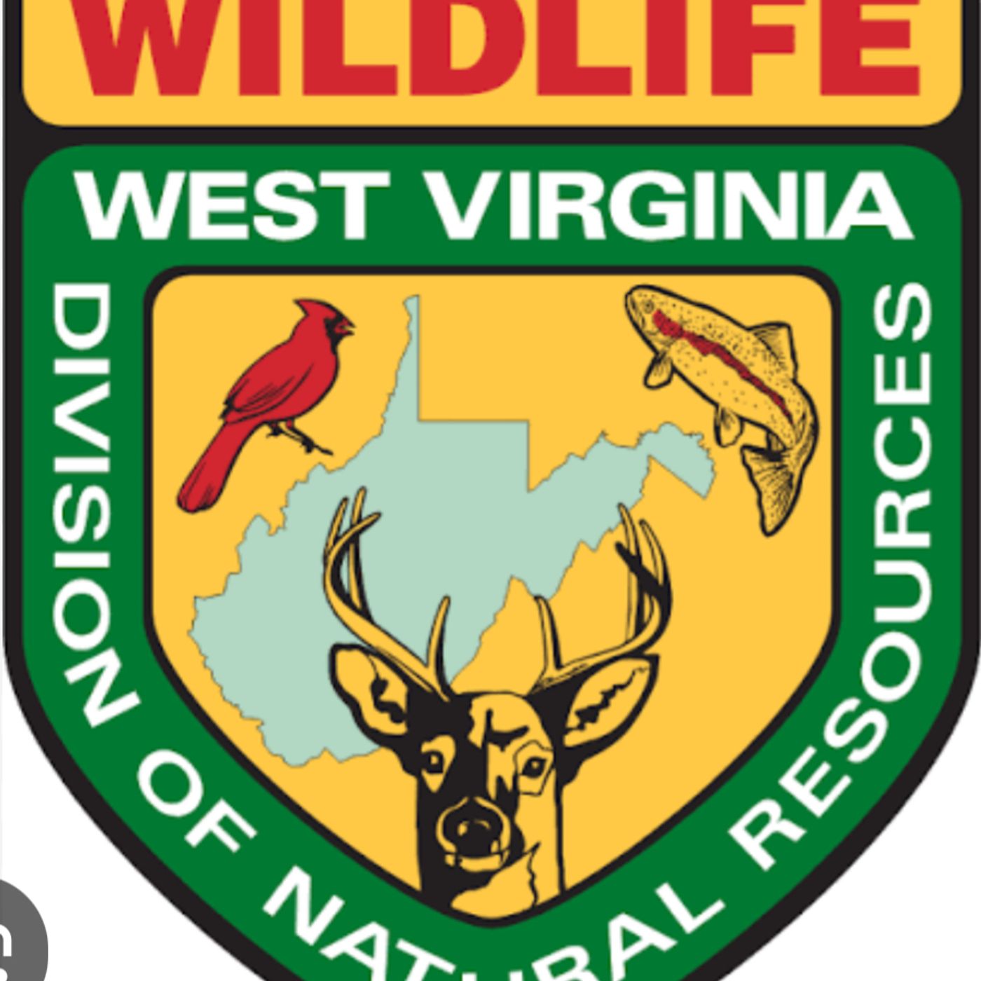 WV DNR on DHE WMOV Interview from Tuesday