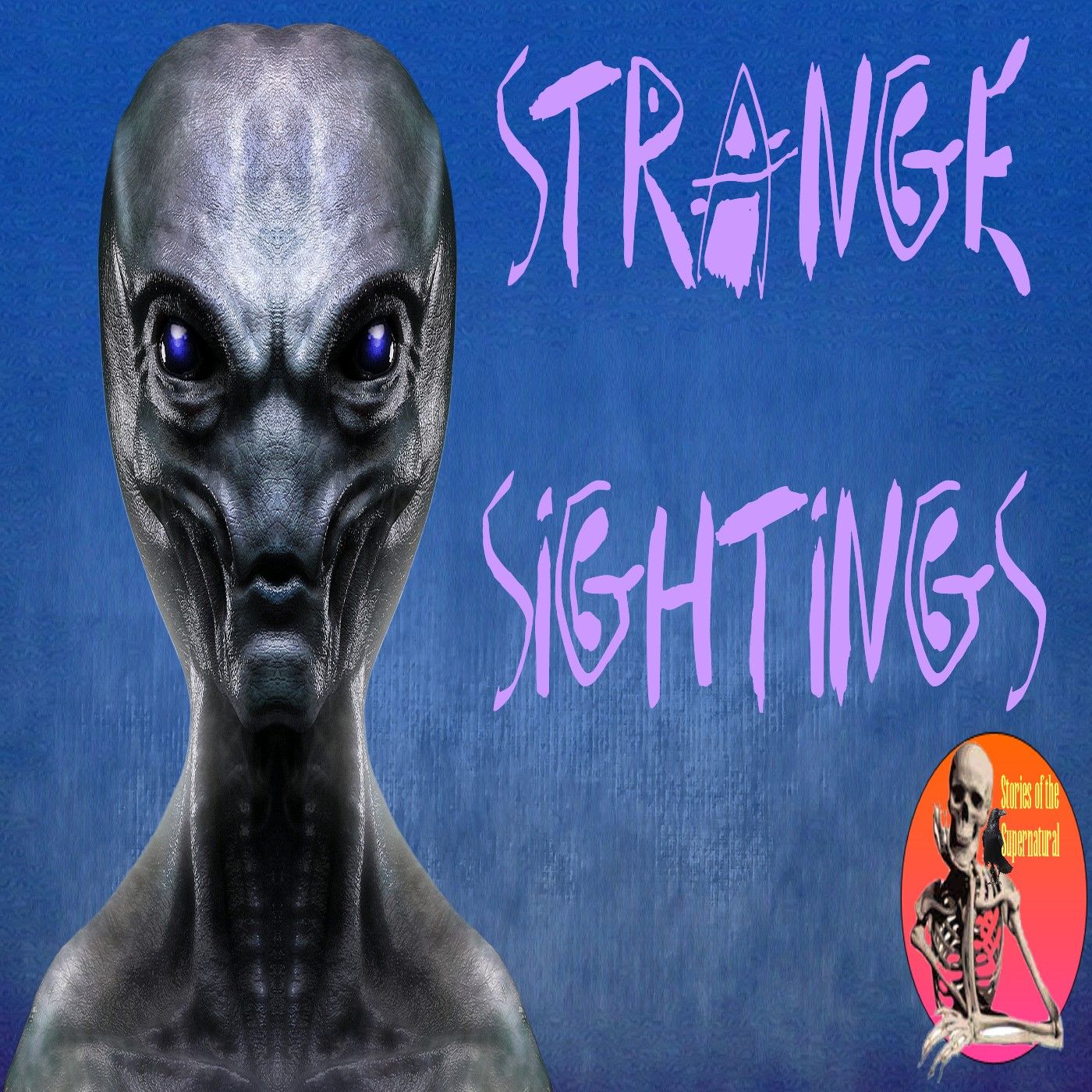 Strange Sightings | Interview with Derrel Sims | Podcast