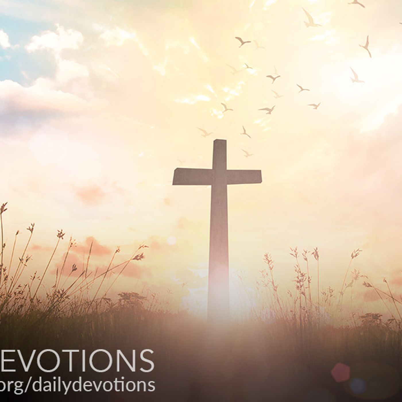 Jesus, Thy Blood and Righteousness episode artwork