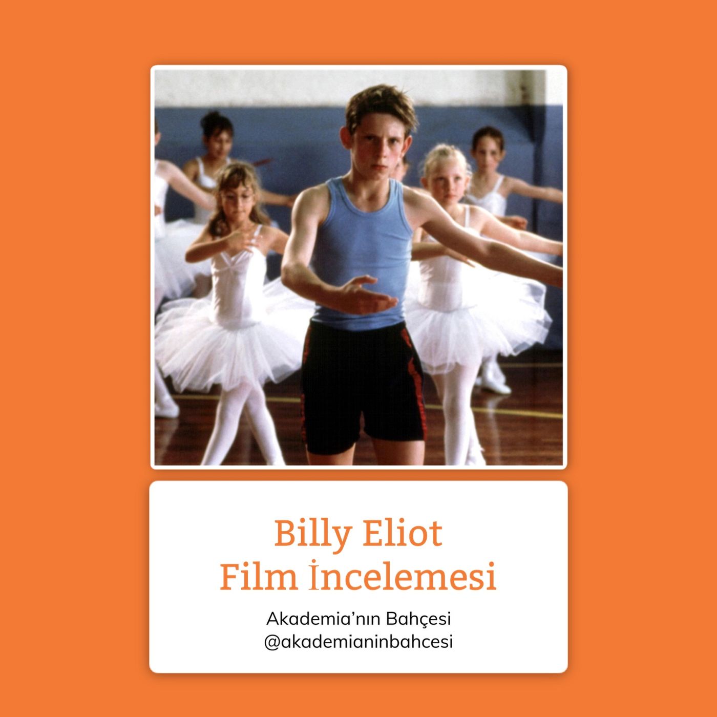 Film İncelemeleri