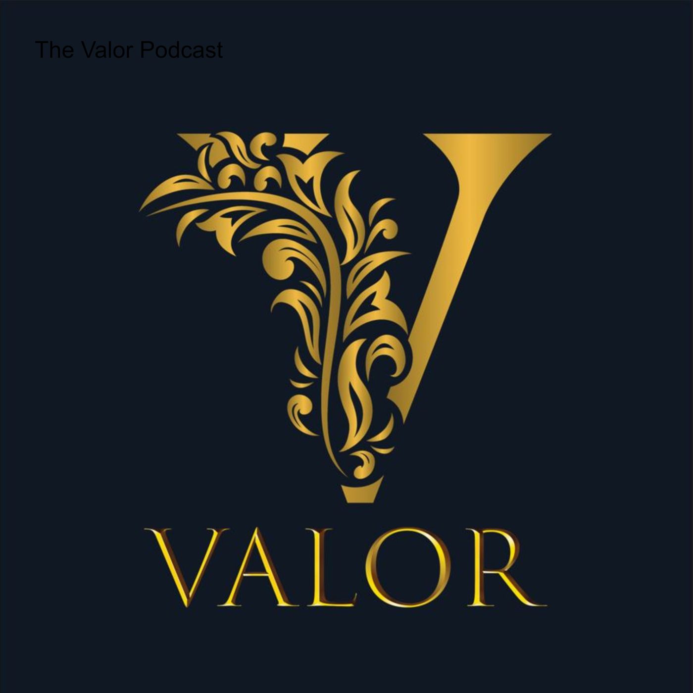 The Valor Podcast