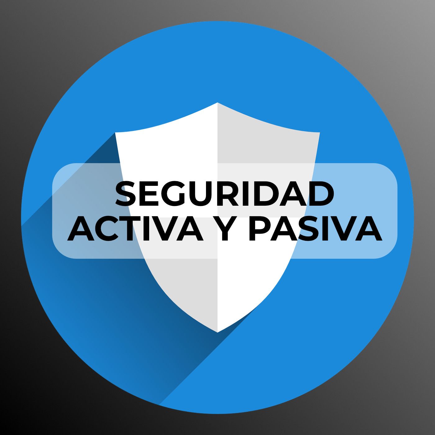 17 Seguridad Activa y Pasiva episode artwork