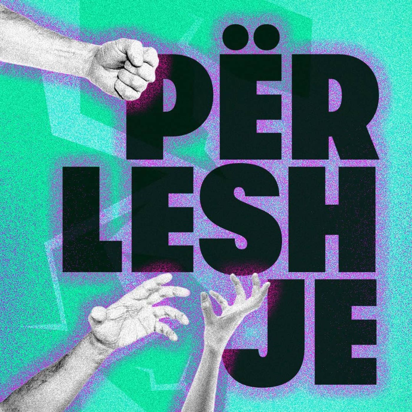 Përleshje