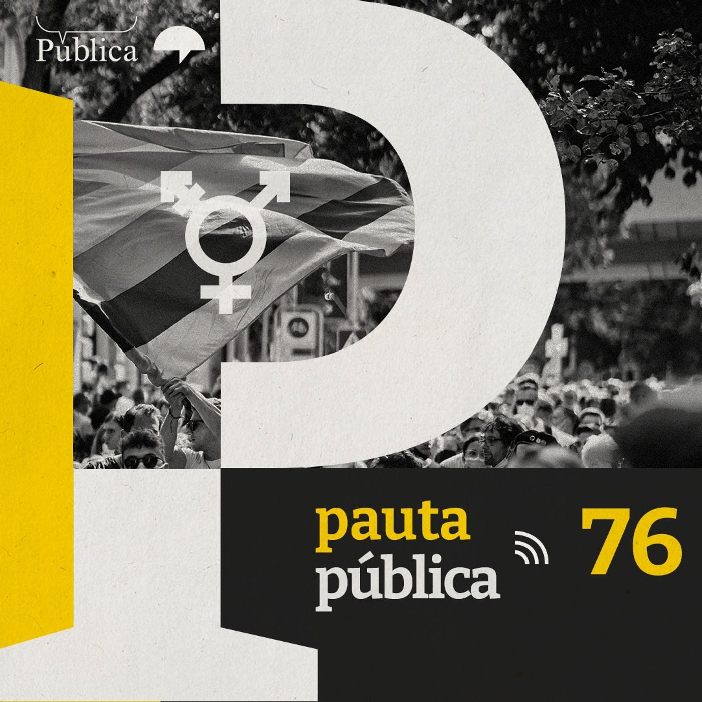 Pauta Pública
